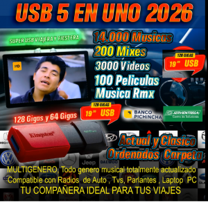 Usb 128 Gigas - Música + Videos + Mixes + Películas